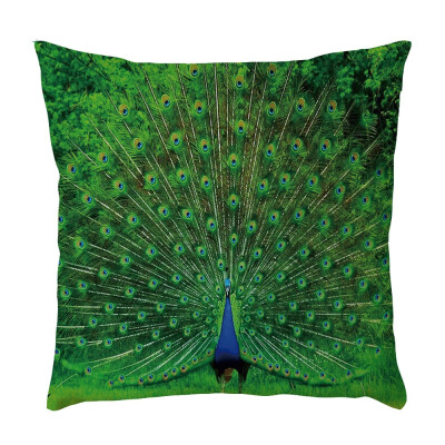 

〖Follure〗Peacock Pattern Pillowcase Pillow Case Cushion Cover Sofa Home Car Decor
