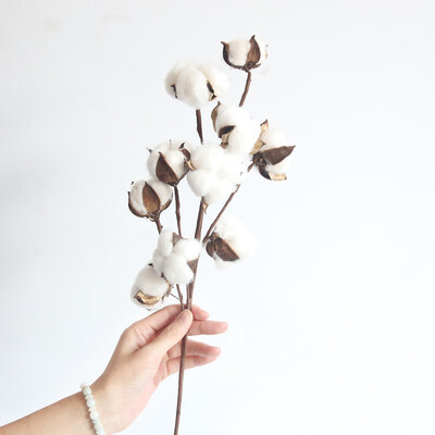 

Dried Cotton Stems Farmhouse Style Artificial Flower Filler