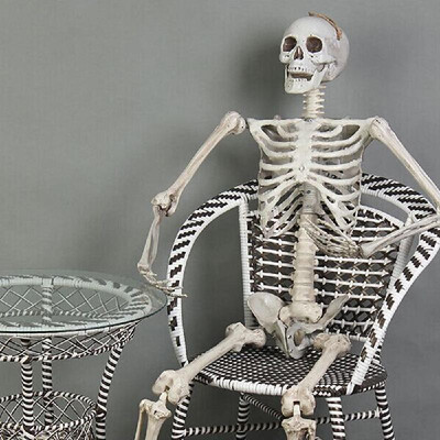 

Plastic Realistic Bones Human Skeleton Horror Christmas Skeleton Decoration New Year Deoration Skull Skeleton
