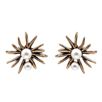 

2019 ZA new pearl Pendant Earrings Gold Statement Hoop Earrings For Women Weddings Party Jewelry bijoux wholesale