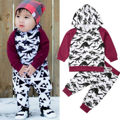 

Newborn Baby Boys Girls Dinosaur Clothes Hooded Tops Coat Long Pants Outfits Set