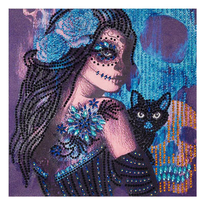 

5D DIY Special Shaped Diamond Painting Novelty Lady Cross Stitch Embroidery
