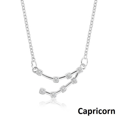 

Outdoor 12 Constellation Pendant Necklace Alloy Chain Necklace for Womens Girls