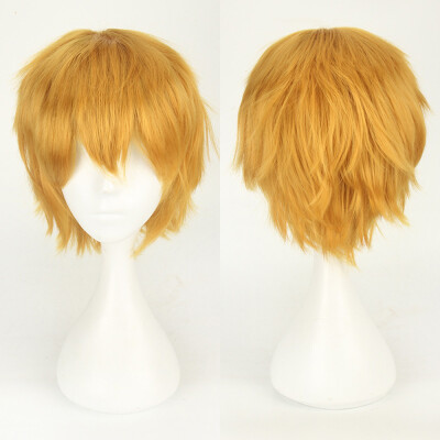 

〖Follure〗Multi Color Short Straight Hair Wig Anime Party Cosplay Full sell Wigs 35cm