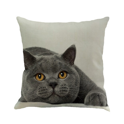 

〖Follure〗Cat Square Pillowcase Home Decoration Car Sofa Bedroom Cushion Cover