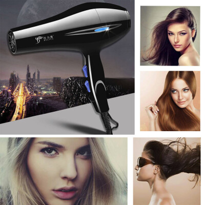 

〖Follure〗Professional Hair Blow Dryer 2200W Black Heat Blower Dryer Beauty Salon