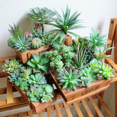 

Artificial Succulent 11x Set Mini Fake Plant Decor Home Office Display Flowers