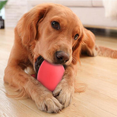 

Greensen Red Rubber Leakage Food Ball Pet Toy Teeth Cleaning Protection Biting Chewing Playing Dog Toy