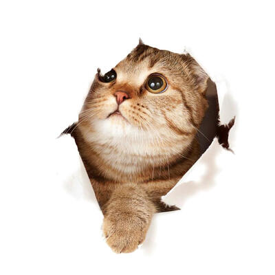 

3D Cat Animal PVC Wall Sticker Waterproof Self-adhesive Removable Decals