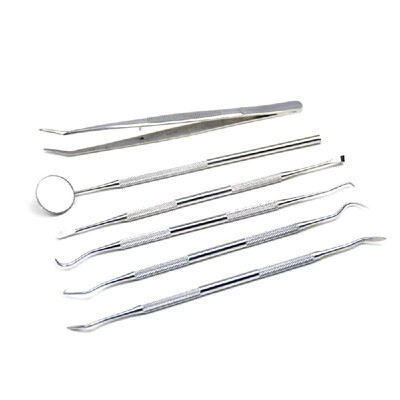 

6pcs Stainless Steel Dental Tools Kit Teeth Tartar Scraper Mouth Mirror Oral Pick Tool Teeth Scaler for Individual & Professional