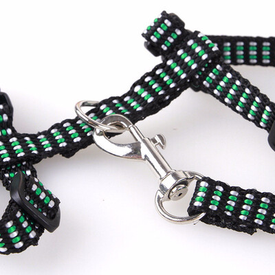 

Cat Harness with Leash Best for Walking