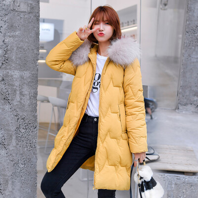 

Roseonmyhand Women Winter Warm Coat Hooded Thick Warm Loose Pocket Jacket Long Overcoat