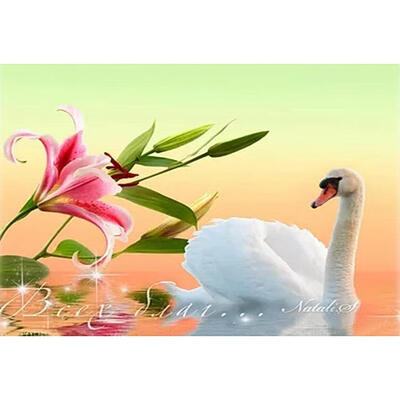 

5D DIY Full Drill Diamond Painting Flower Swan Cross Stitch Embroidery Kit