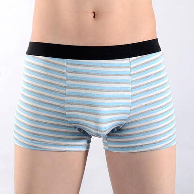 

Mens Comfort Modal Cotton Boxers Mid Rise Striped Underwear With Pouch