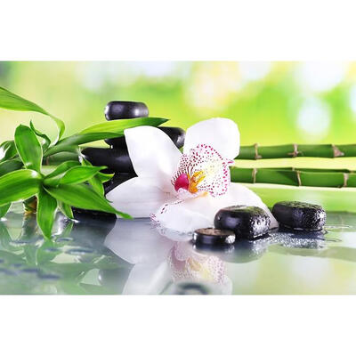 

5D DIY Diamond Painting Flower Bamboo Cross Stitch Embroidery Mosaic Kit