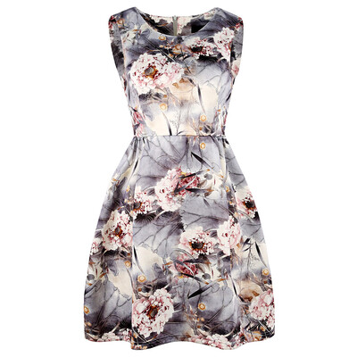 

Floral Print Sleeveless Mini A Line Dress