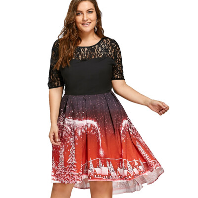 

Plus Size Christmas Party Lace Panel Vintage Dress