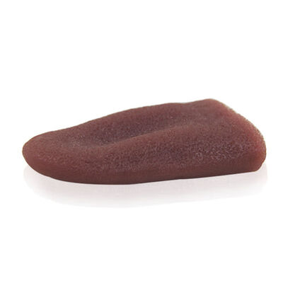 

Realistic Fake Tongue Gross Jokes Prank Magic Tricks Horrific Props Scary Halloween Toy