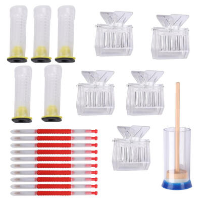 

Beekeeping Tools Equipment Set Bee Queen Rearing System Cultivating Box