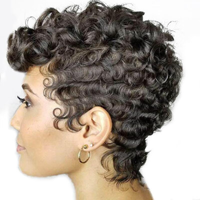 

High-temperature Synthetic Fiber Synthetic Curly Wigs for Women Natural Matte Hair