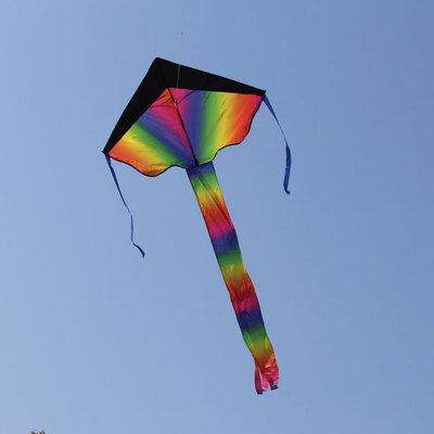 

Ktaxon New Great Beginner Kite Large Delta Kite Rainbow Kite 164ft of Line