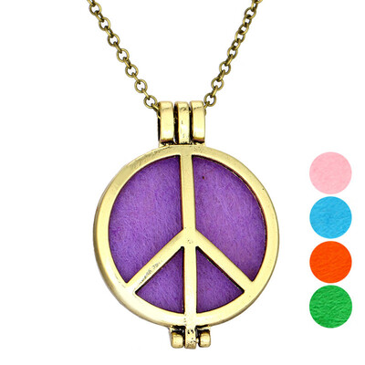 

Retro Hollow Aromatherapy Essential Oil Diffuser Perfume Locket Pendant Necklace