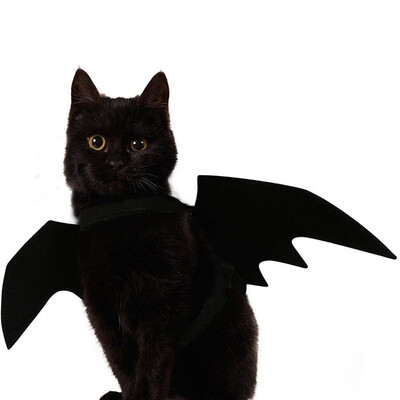 

Halloween Pet Bat Wings Cat Dog Bat Costume