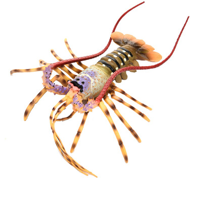 

Tailored Simulation Model Of LobsterKids Early Education Play ToyKitchen Decoration