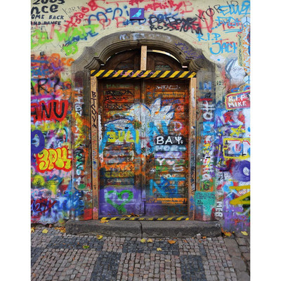 

Graffiti Wall Door Photo Backdrop 57FT Vinyl Fabric Cloth Digital Printing Photo Background s-2228