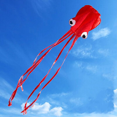 

Tailored Large Octopus Long Tail Beach Kites-Perfect Toy for Kids&Adults Outdoor Game