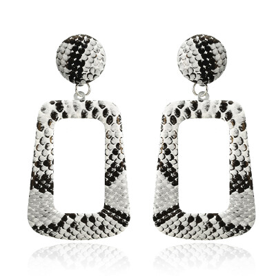 

New Big Geometric Drop Earrings for Women Punk Vintage Statement Earrings Snake Skin Party Jewelry Gift