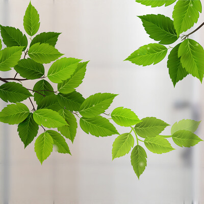 

Green Leaves PVC Window Film Wall Sticker Matte