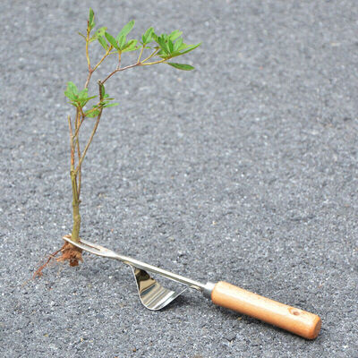 

1Pc Hand Weeder Weeding Weed Dandelion Remover Puller Tool Fork Garden Tool