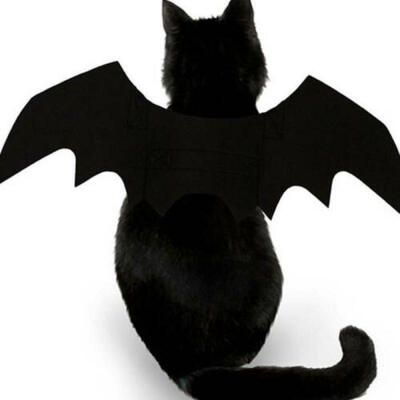 

Halloween Cute Pet Small Bat Wings Cat Costume Accessories Decoration UK STOCK