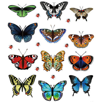 

〖Follure〗New Landscaping Decoration Heart Shaped Stickers 12 Butterfly Stickers