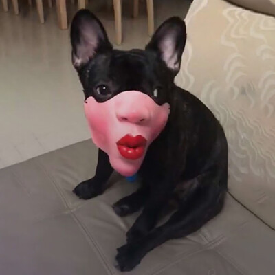 

YIWULAFunny Fun Mask Big Lips Headgear Pet Funny Mask