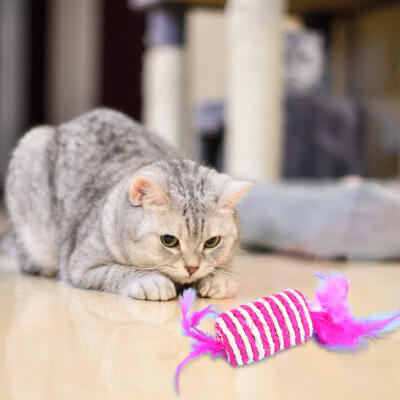 

Greensen 8 pcs Pet Toy Fish Candy Shape Sisal Cat Kitten Playing Chew Scratch Toys With Feather