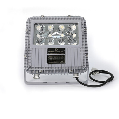 

Tormin Explosion Proof LED Square Floodlight BC9101