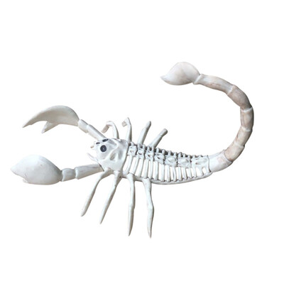 

Tailored Halloween Skeleton Animal Bones Horrible Decoration Simulation toy