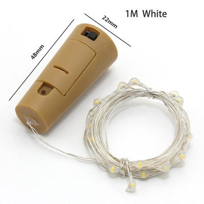 

1M LED Bottle Lights 10 LEDs Decorative Wire Lamp For Home Party Wedding