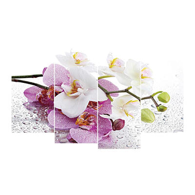 

4pcs 5D DIY Full Drill Diamond Painting Moth Orchid Cross Stitch Embroidery