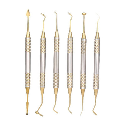 

6pcs Dental Composite Resin Filling Spatula Titanium Plated Head Resin Filler Set Thick Handle Restoration Set Dental Instrument