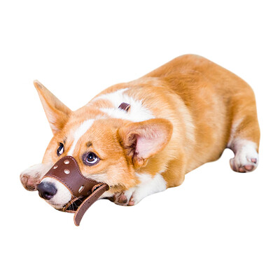 

Fantasy Bubble Pet Dog Mouth Set Adjustable Stopper Dog Mouth Prevention Dog Tattoo Teddy Outer Export Cover Dog Mouth Set