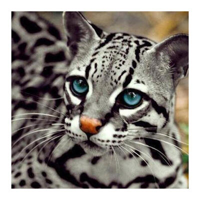 

5D DIY Diamond Painting Little Leopard Cross Stitch Embroidery Rhinestones