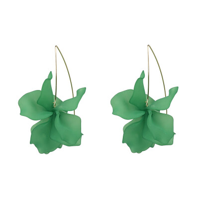 

2019 New Acrylic Resin Green Leaves Dangle Earring For Women Fashion Tortoiseshell Geometry Acetate Party Jewelry ZA Brincos