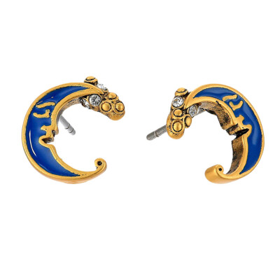 

1 Pair Charm Wonderland Blue Enamel Alloy Studs Earrings Rhinestone Romantic Vintage Style Earring Jewelry Accessories