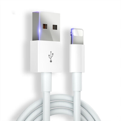 

8 Pin Fast Charging Cable Data Transmission TPE Wire for iPhone