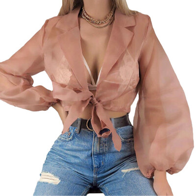 

Womens Sheer Mesh Crop Top Ladies Girls Long Sleeve Deep V-Neck Stretchy T Shirt