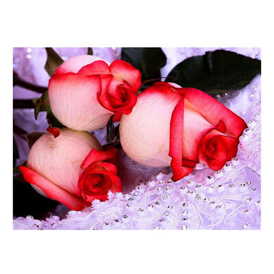 

5D DIY Full Drill Diamond Painting Rose Cross Stitch Embroidery Wall Art