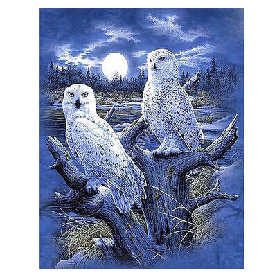 

5D DIY Full Drill Diamond Painting Moonlight Cross Stitch Embroidery Mosaic